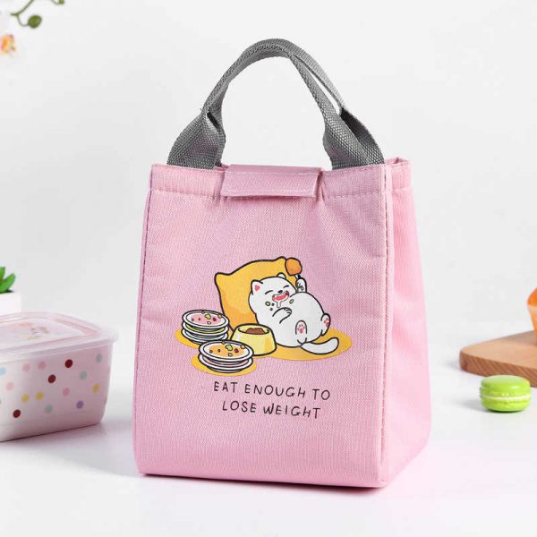 Insulated lunch tote bags for women