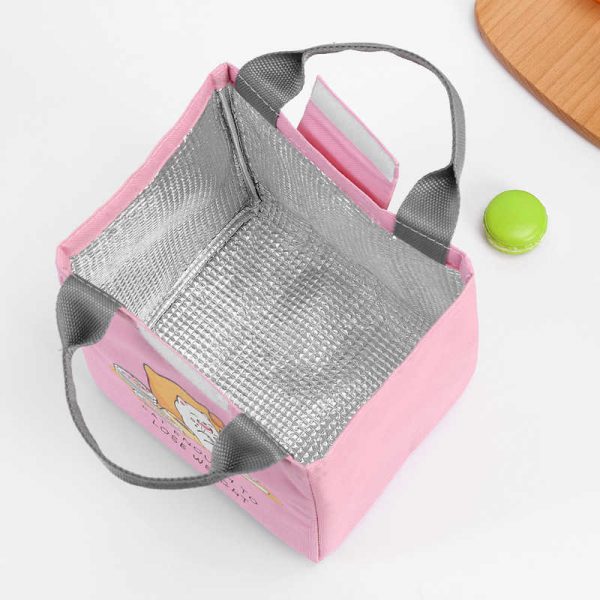 Insulated lunch tote bags for women