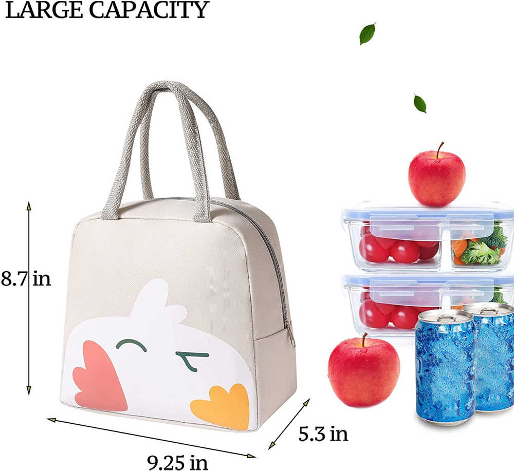Cute insulated lunch bags for women