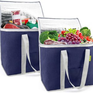 Collapsible tote cooler bags with zipper
